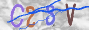 CAPTCHA (Şahıs Denetim Kodu) Resmi
